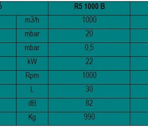 Thong so ky thuat bom hut chan khong vong dau Busch 1000- 1600B