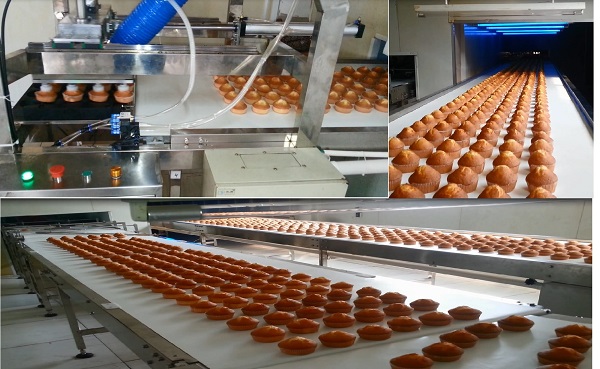 Ứng dụng cánh tay robot hút chân không các quả trứng trong quá trình vệ sinh