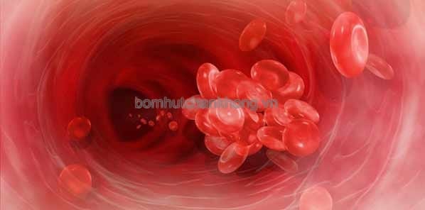 hut chan khong loai bo mau dong