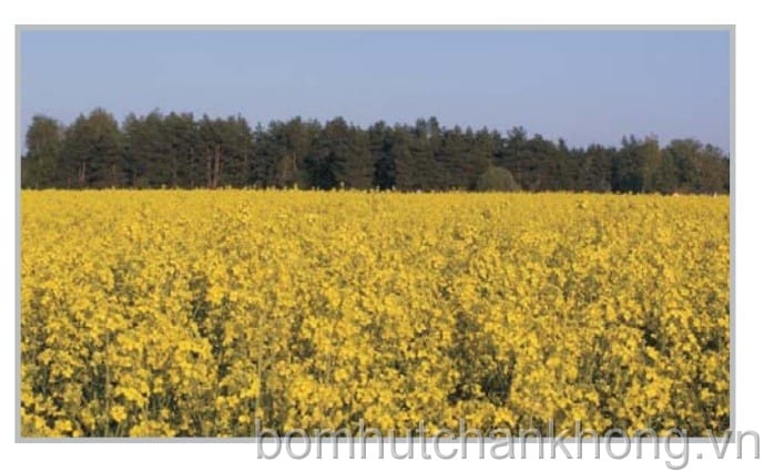 may bom chan khong va may nen cho ethanol dau diesel sinh hoc