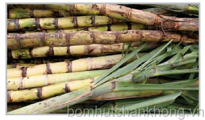 may bom chan khong va may nen cho ethanol dau diesel sinh hoc