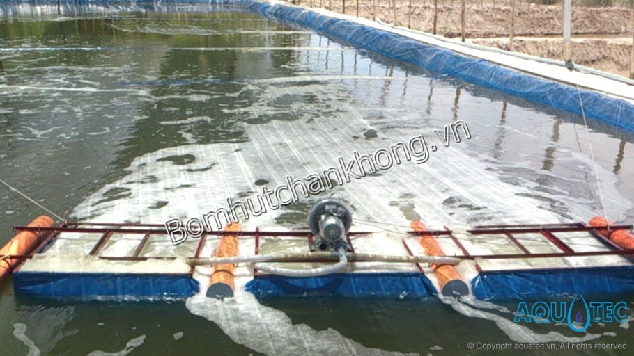 su dung may thoi khi de tang ham luong oxi dieu hoa va tron dao dong nuoc trong nganh nuoi trong thuy san