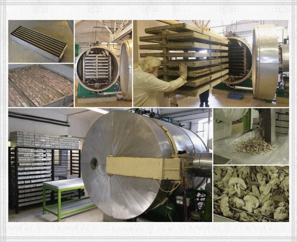 Hình ảnh quy trình sấy chân không 