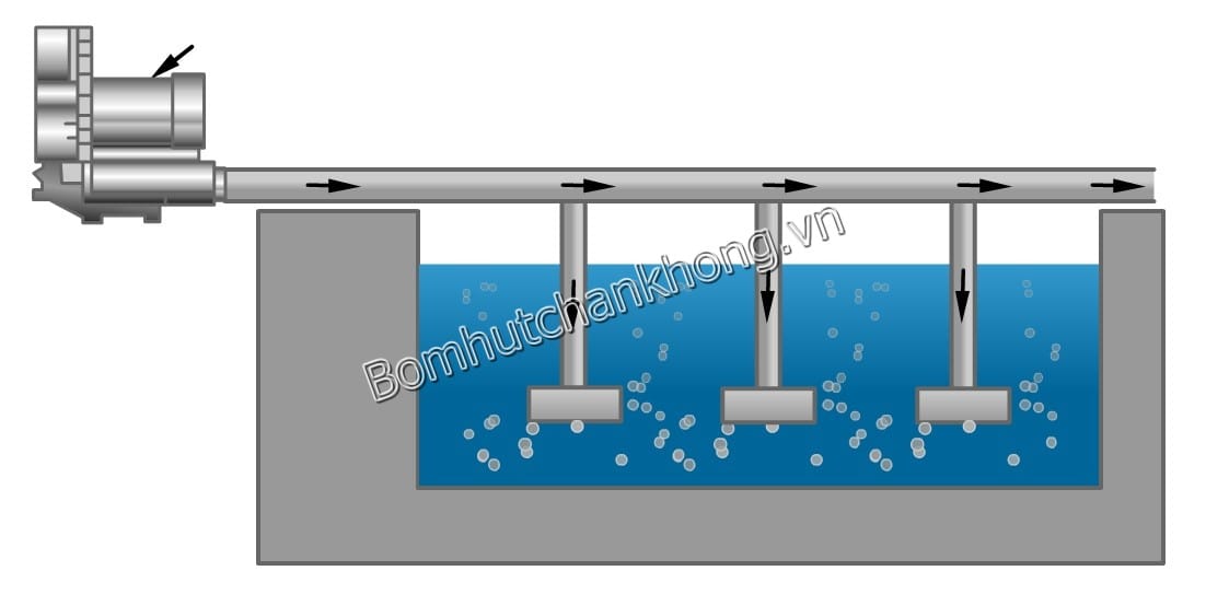 máy thổi khí áp suất cao để tăng hàm lượng ôxi,điều hòa và trộn đảo dòng nước
