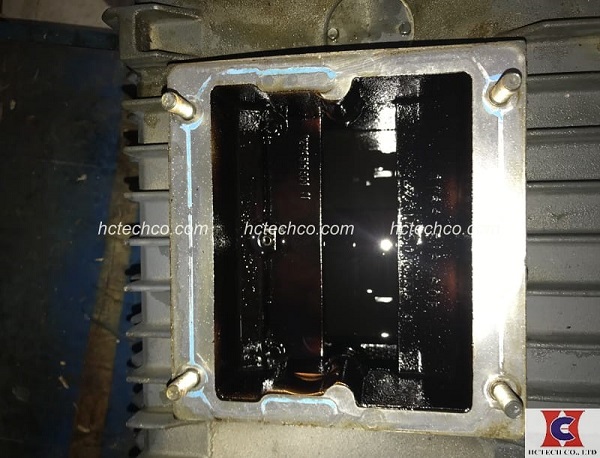 Sửa bơm chân không Busch RA 305d