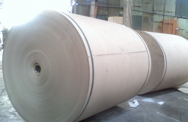 Ứng dụng bơm hút chân không sản xuất bột giấy