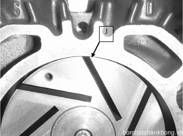 Vị trí lắp cánh than tại rotor được lắp đặt bên trong stator của bơm chân không