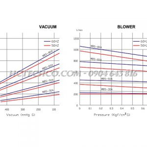 Bơm hút chân không khô Wonchang WBS 30A