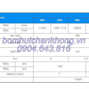 thong so ky thuat bom wbs 85b