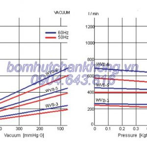duong tuyen tinh bom chan khong wonchang wvs6