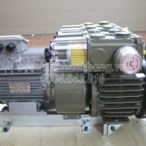 Hình ảnh chụp bơm chân không WBS80A