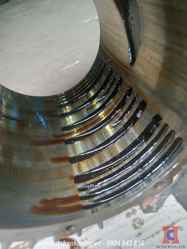 Làm sạch lòng bơm chân không Busch