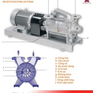 Một số bộ phận cấu tạo của bơm
