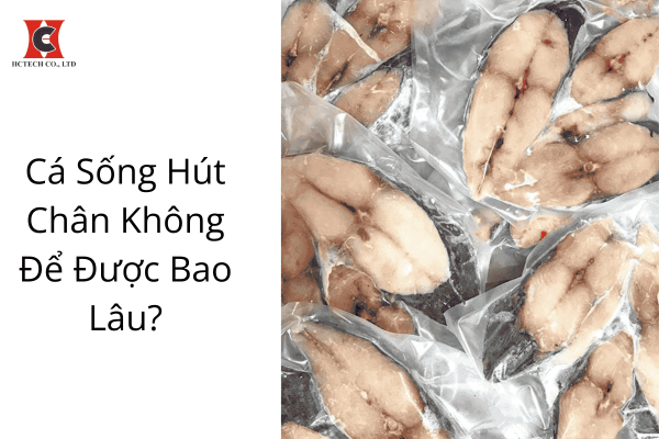 Cá sống hút chân không