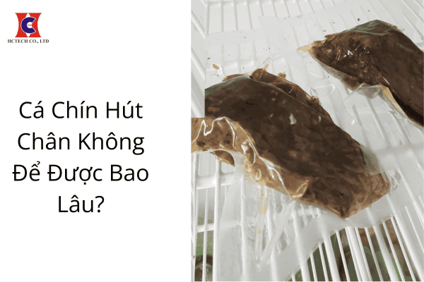 cá chín hút chân không