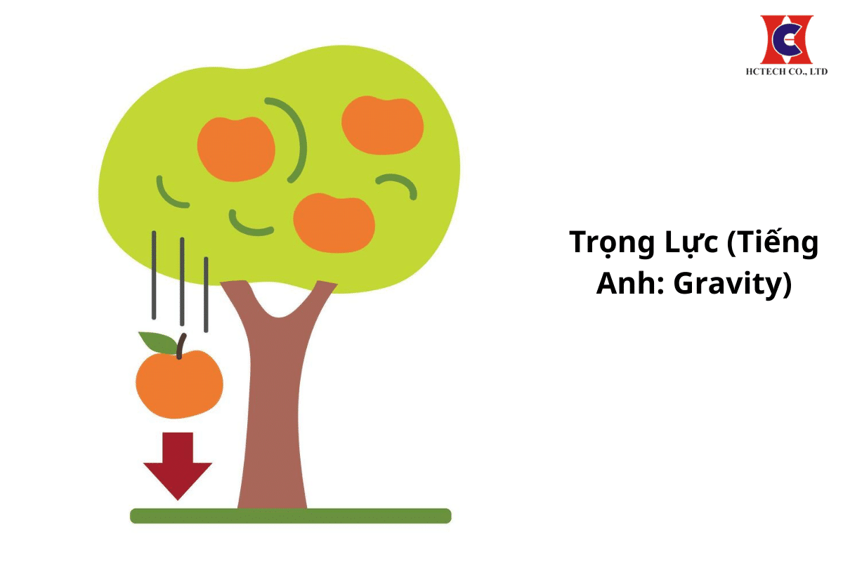 Trọng Lực Là Gì? Khái Niệm, Công Thức Tính và Vai Trò Trong Đời Sống Hàng Ngày