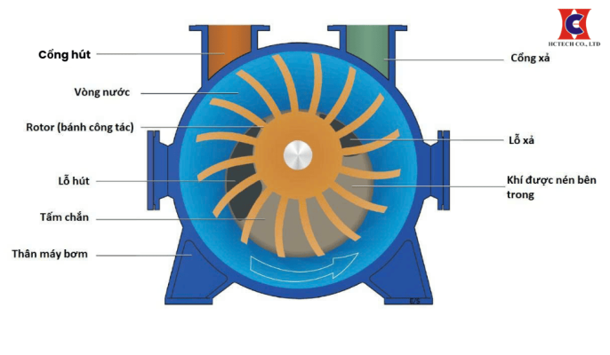 cấu tạo của bơm hút chân không vòng nước 2