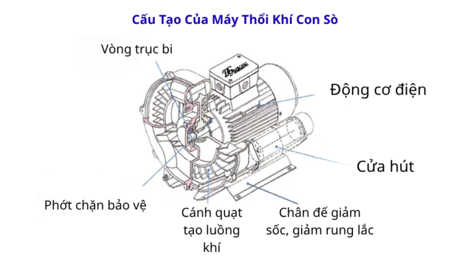 Cấu tạo của máy thổi khí con sò